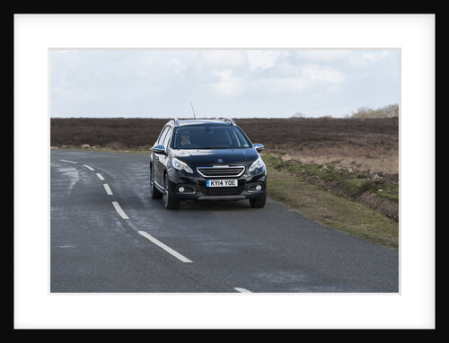 2014 Peugeot 2008 Hdi Feline by Unknown