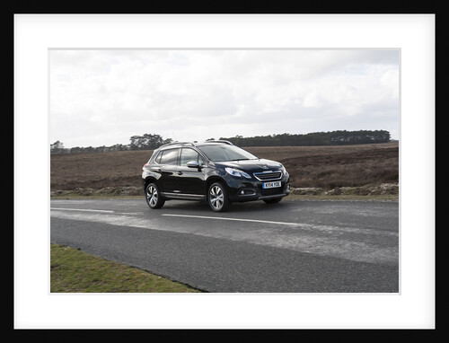 2014 Peugeot 2008 Hdi Feline by Unknown