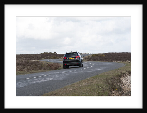 2014 Peugeot 2008 Hdi Feline by Unknown