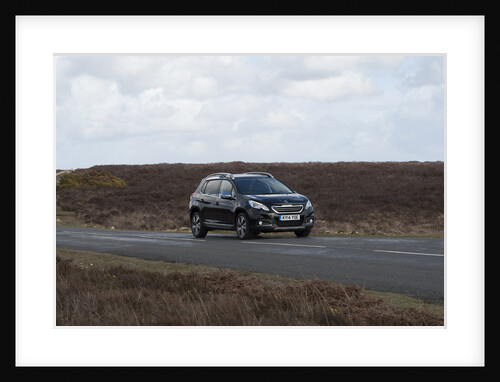 2014 Peugeot 2008 Hdi Feline by Unknown