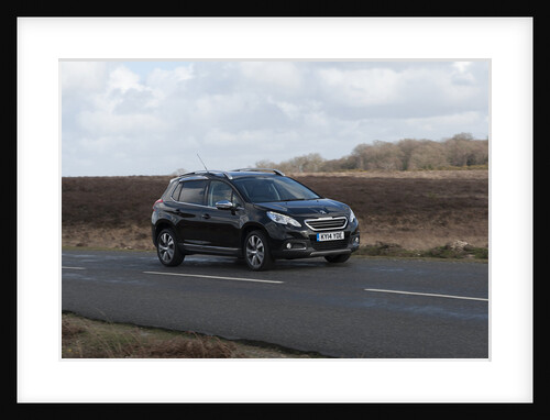 2014 Peugeot 2008 Hdi Feline by Unknown