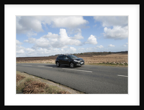 2014 Peugeot 2008 Hdi Feline by Unknown