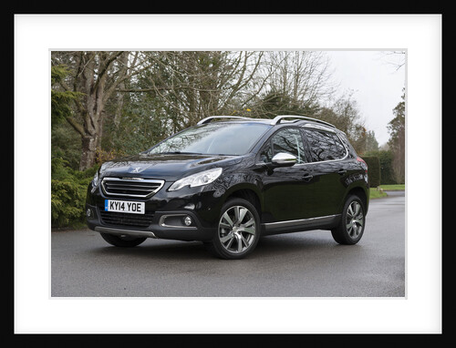 2014 Peugeot 2008 Hdi Feline by Unknown