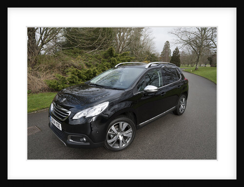 2014 Peugeot 2008 Hdi Feline by Unknown