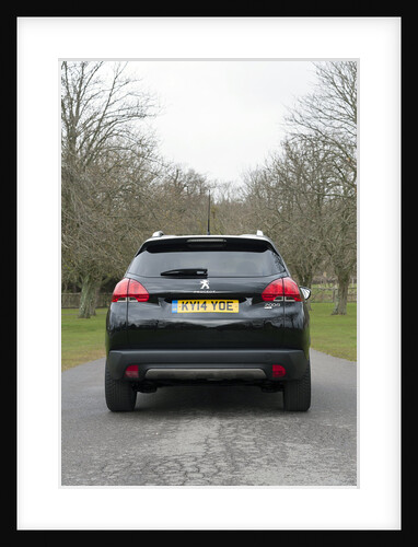 2014 Peugeot 2008 Hdi Feline by Unknown