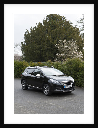 2014 Peugeot 2008 Hdi Feline by Unknown