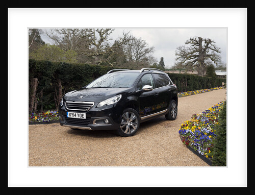 2014 Peugeot 2008 Hdi Feline by Unknown