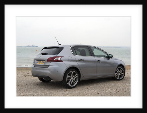 2014 Peugeot 308 THP 156 Feline by Unknown