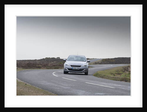 2014 Peugeot 308 THP 156 Feline by Unknown