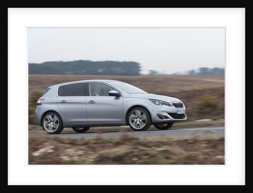 2014 Peugeot 308 THP 156 Feline by Unknown