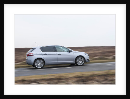 2014 Peugeot 308 THP 156 Feline by Unknown