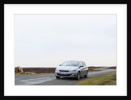 2014 Peugeot 308 THP 156 Feline by Unknown