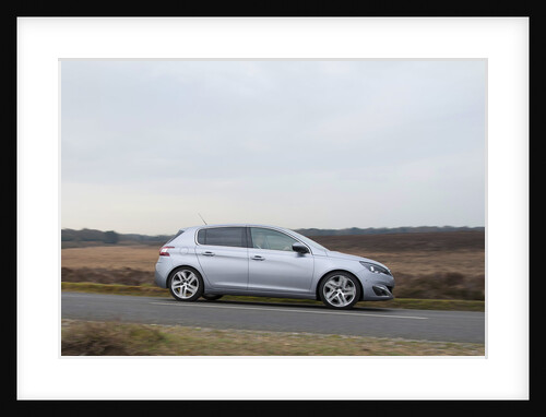 2014 Peugeot 308 THP 156 Feline by Unknown