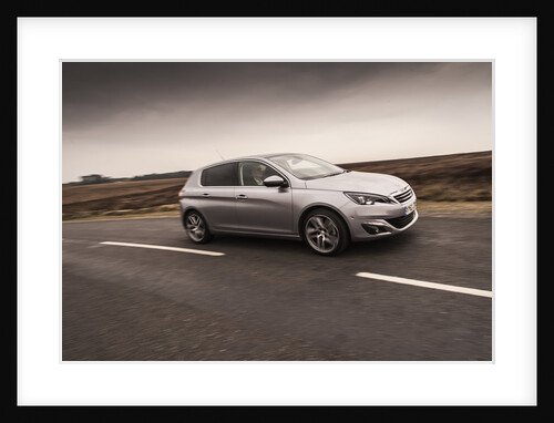 2014 Peugeot 308 THP 156 Feline by Unknown