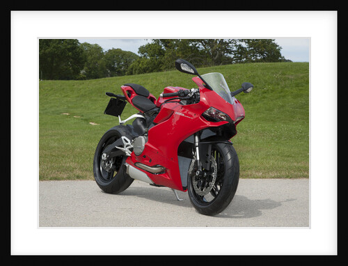 2014 Ducati 899 Panigale by Unknown