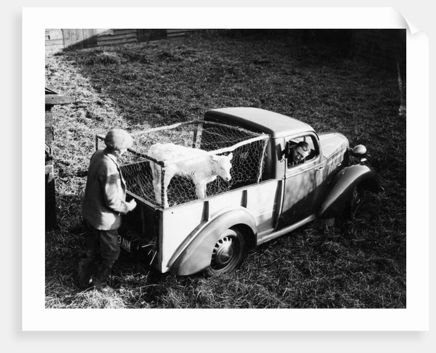 Bedford 6cwt utility wagon by Anonymous