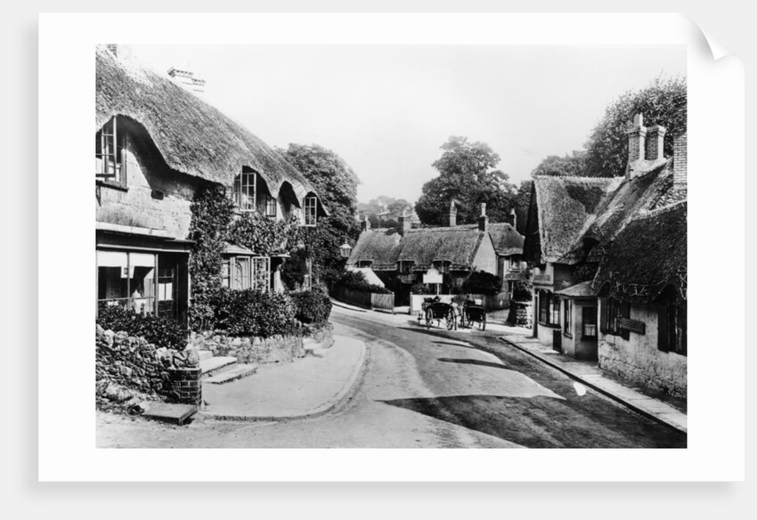 A street through Shanklin, Isle of Wight, 1890 by Unknown