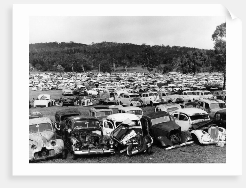Old cars in a scrapyard, Cooma, New South Wales, Australia, 1973 by Unknown