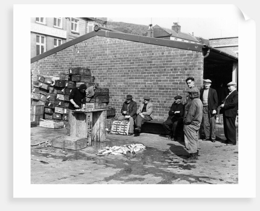 Gutting fish outside a warehouse in Whitby, North Yorkshire, 1959 by Unknown