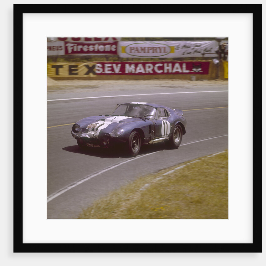 A Cobra Daytona Ford by Anonymous