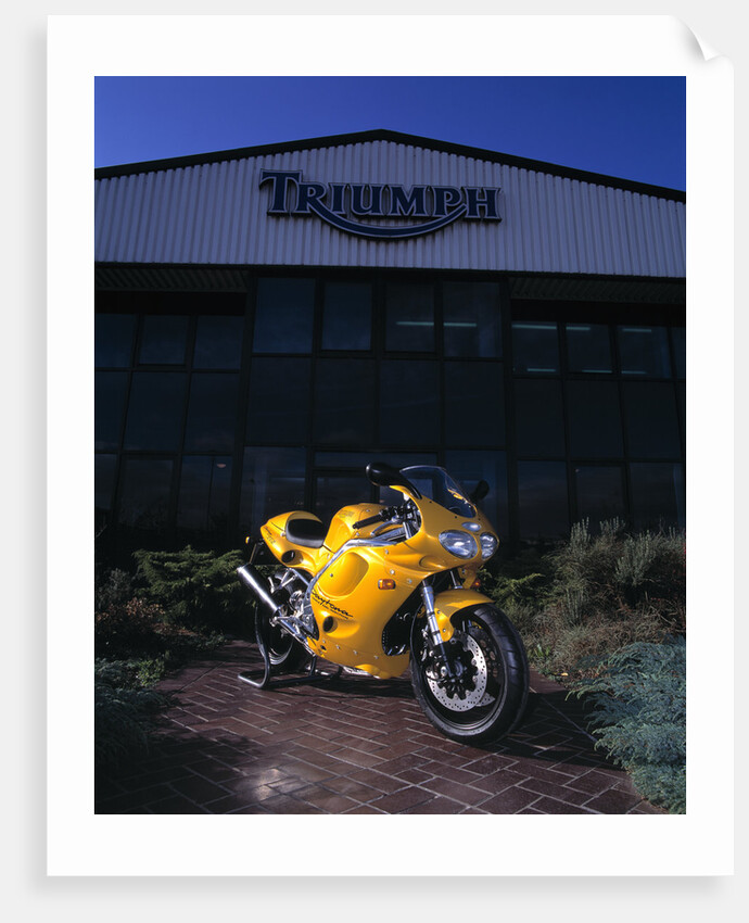 1996 Triumph Daytona T595 by Unknown