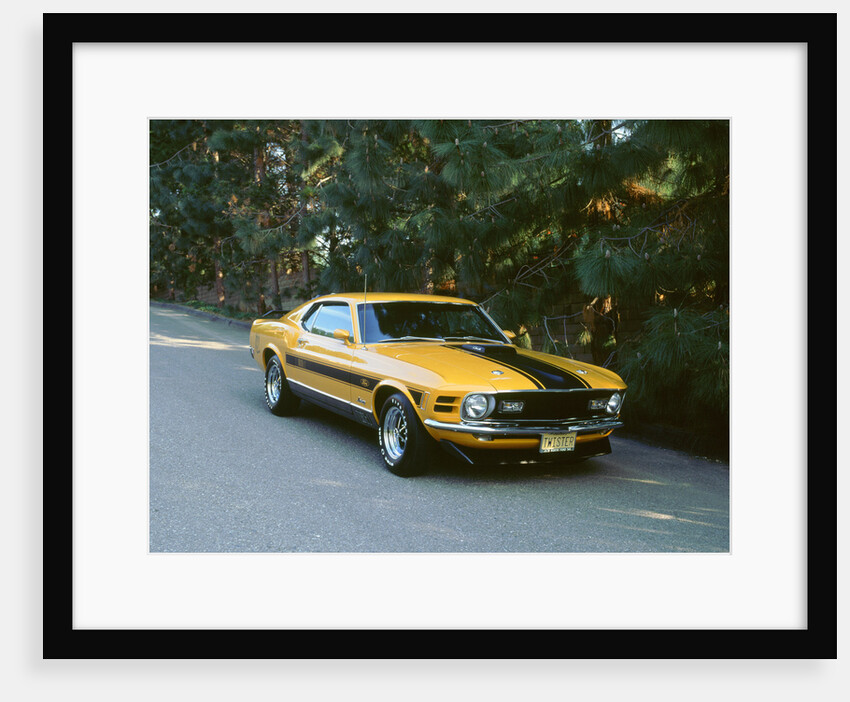 1970 Ford Mustang Twister by Unknown