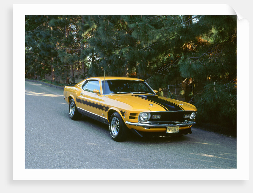 1970 Ford Mustang Twister by Unknown