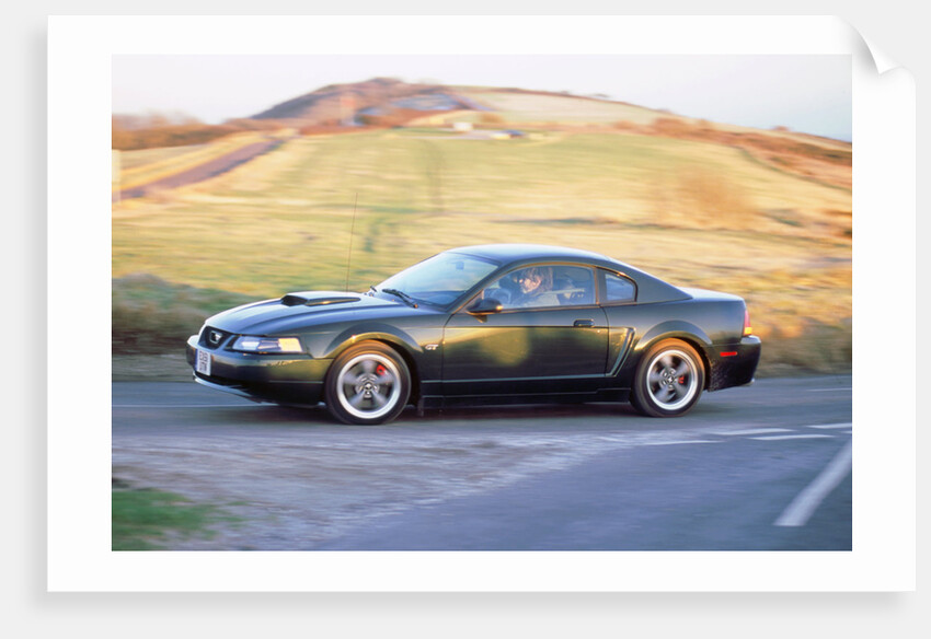 2002 Ford Mustang Bullitt by Unknown