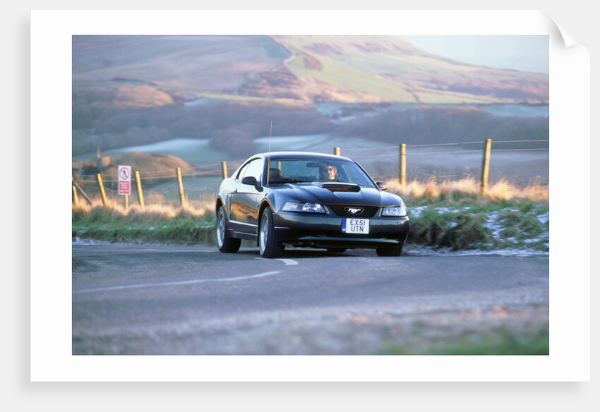 2002 Ford Mustang Bullitt by Unknown