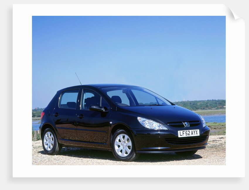 2002 Peugeot 307 by Unknown