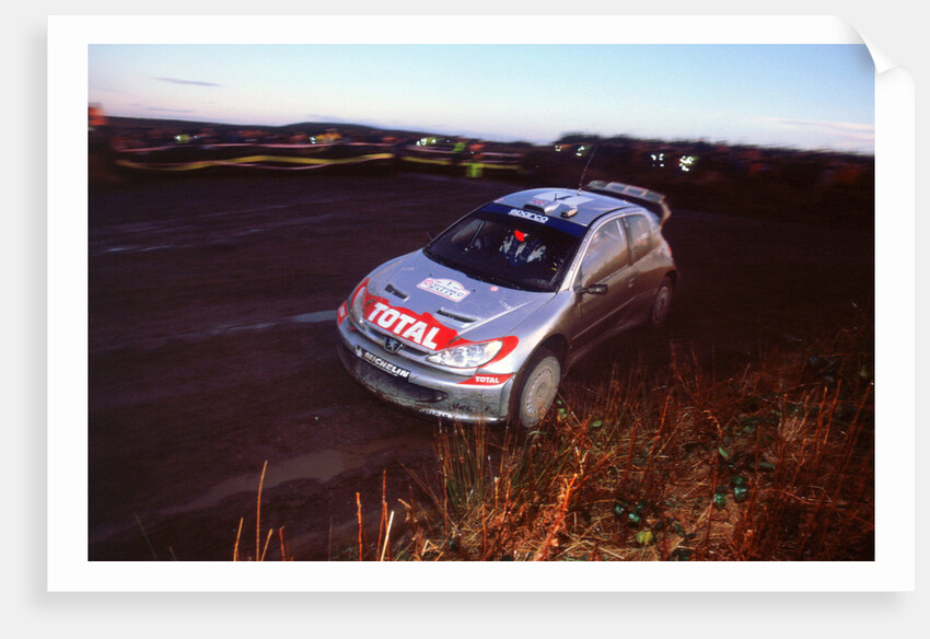 2002 Peugeot 206 WRC, Richard Burns, Network Q Rally by Unknown