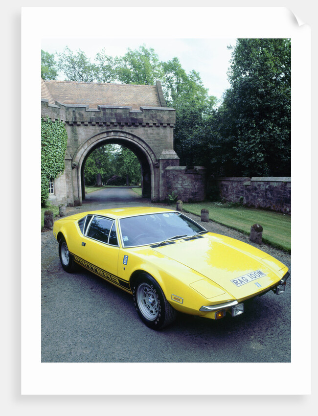 1974 De Tomaso Pantera GP4 by Unknown