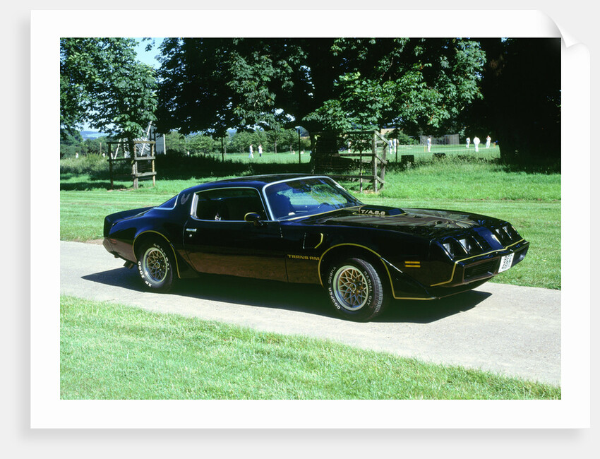 1979 Pontiac Firebird Trans Am by Unknown