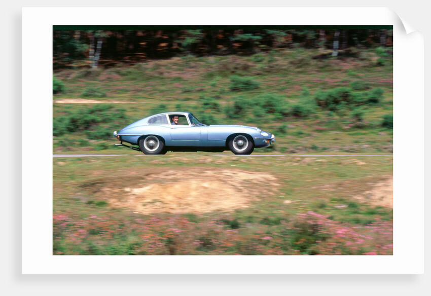 1965 Jaguar E type with smiling driver by Unknown