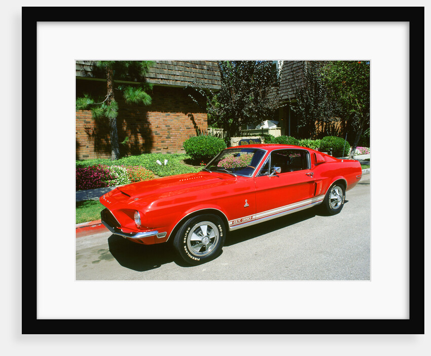 1969 Ford Mustang Shelby GT 350 by Unknown