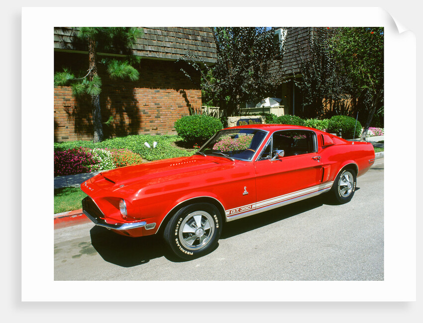 1969 Ford Mustang Shelby GT 350 by Unknown