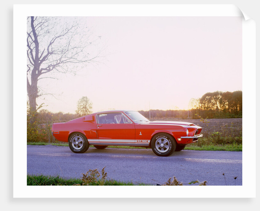 1968 Ford mustang GT350 Shelby cobra by Unknown