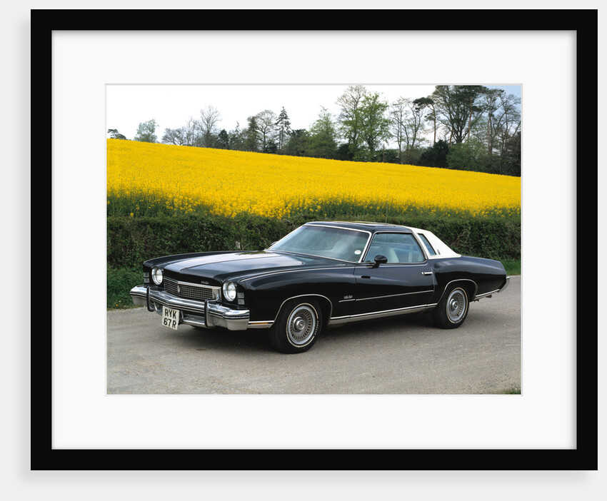 1973 Chevrolet Monte Carlo Landau by Unknown