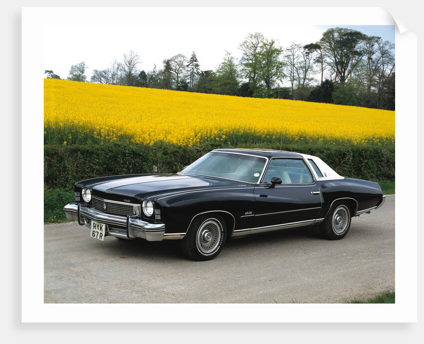 1973 Chevrolet Monte Carlo Landau by Unknown