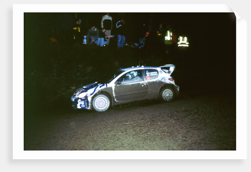 1999 Peugeot 206 WRC Network Q Rally, Gronholm by Unknown