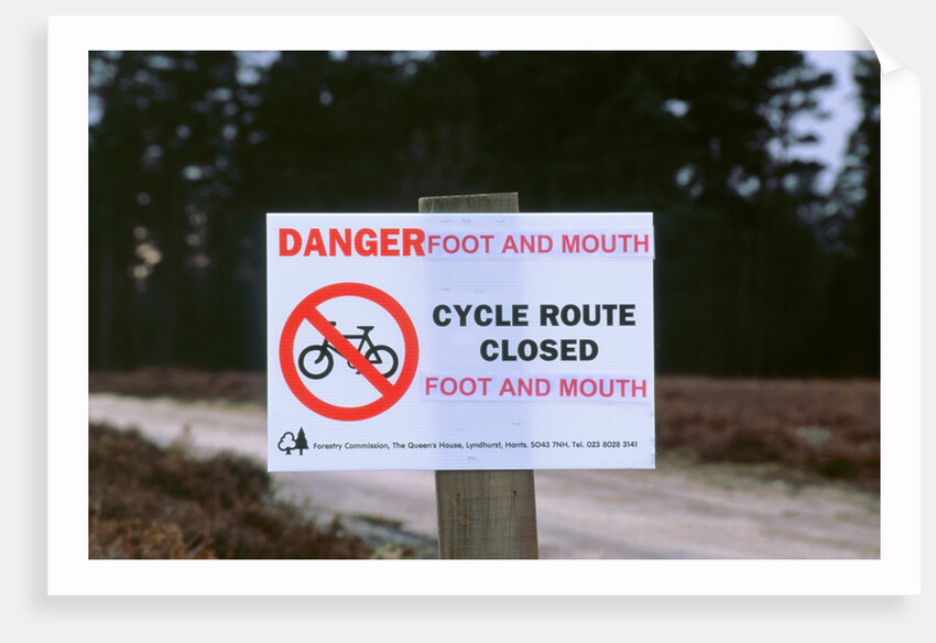 No cycling-Foot and Mouth closure 2001. New Forest by Unknown