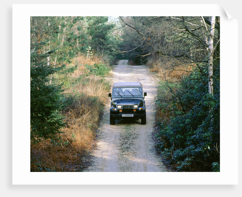 1994 Jeep Wrangler by Unknown