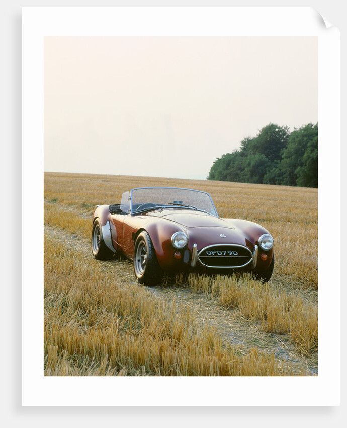 1966 AC Cobra 289 by Unknown