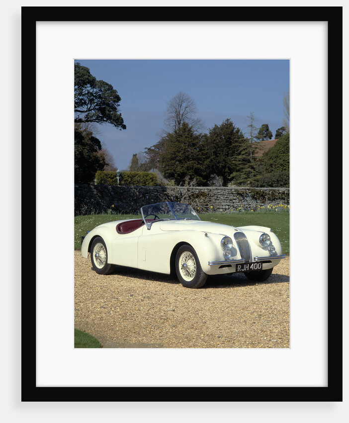 1954 Jaguar by Unknown