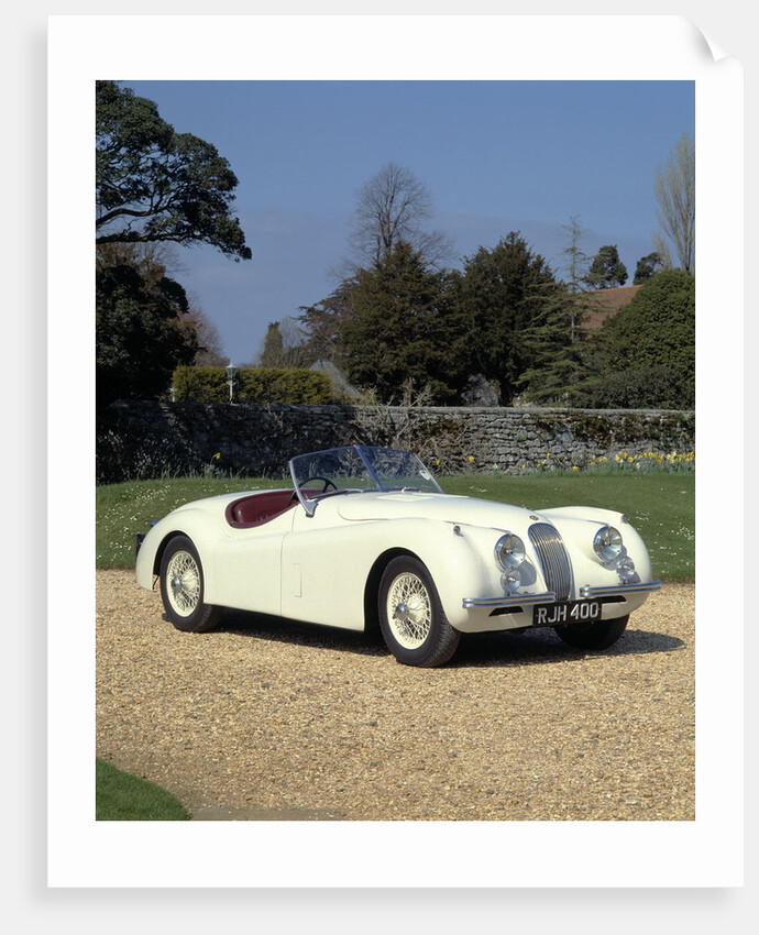 1954 Jaguar by Unknown