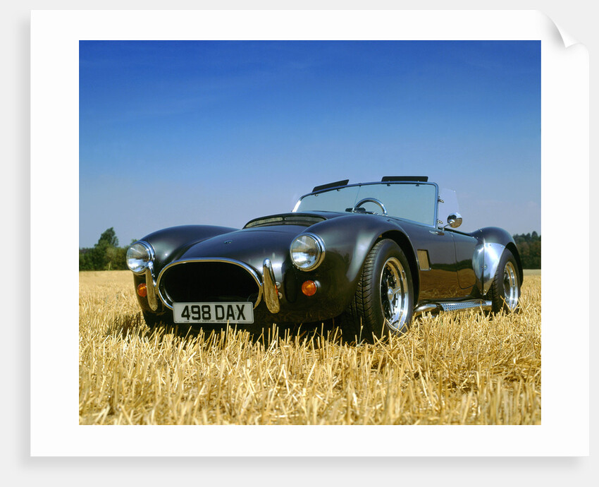 1990 Dax Cobra Tojiero by Unknown