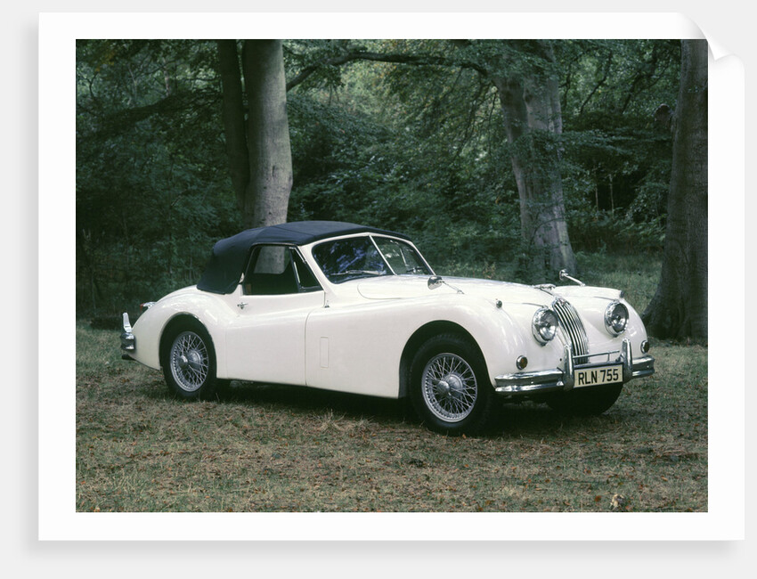 1954 Jaguar XK140 DHC by Unknown