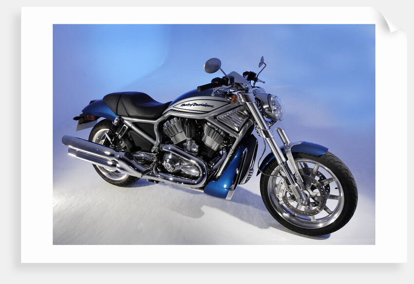 2005 Harley Davidson VRSCR Street Rod by Unknown