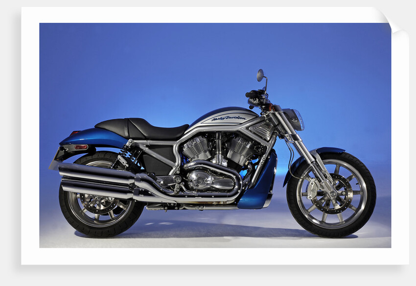 2005 Harley Davidson VRSCR Street Rod by Unknown