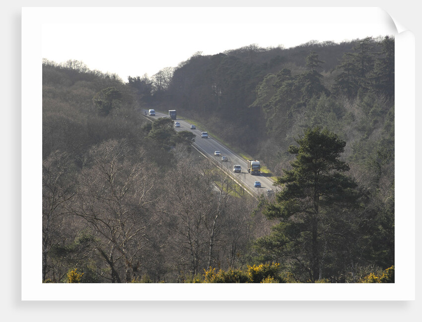 The A31 Dual Carriageway through New Forest by Unknown